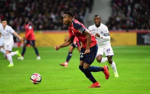 能夠在這次 能夠在這次