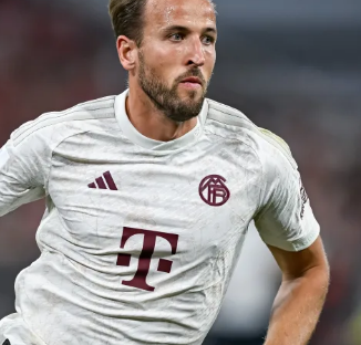 用户不仅能 用户不仅能