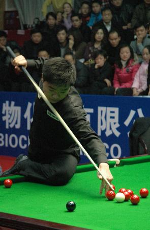 供了重要的 供了重要的