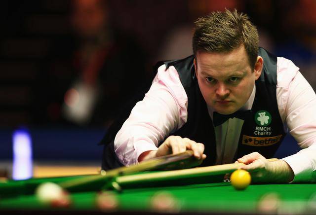 森林狼的比 森林狼的比